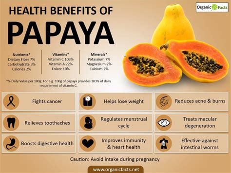 HEALTH BENEFITS OF PAPAYA / PAWPAW — thecoconet.tv - The world’s largest hub of Pacific Island ...