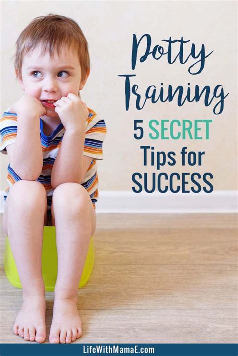 Potty Training: 5 Tips for Success - Life with Mama E