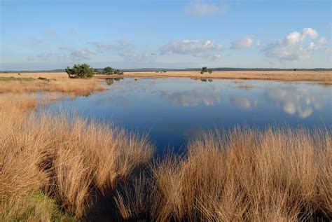 Discover the Park — Park Hoge Veluwe