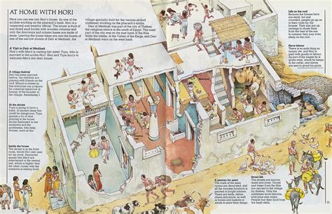 Ancient Egyptian house, cross-section … – acheter une photo – 13474384 Science Photo Library