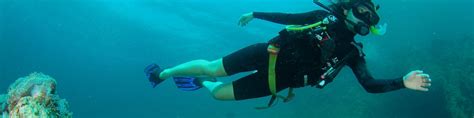 Scuba diving in Australia - Wikitravel