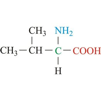 Valine @ Chemistry Dictionary & Glossary