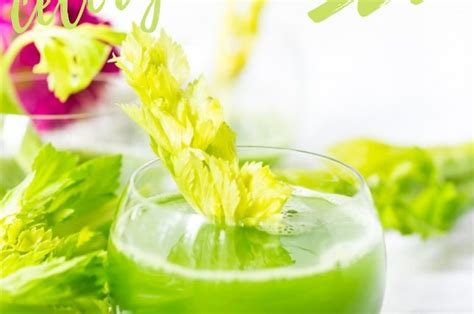 celery detox juice - Vegan Recipes