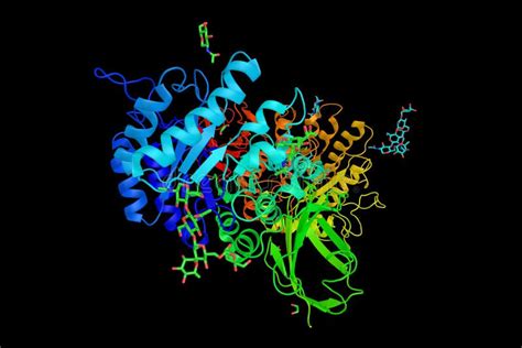 Alpha-galactosidase 3d Structure, Administered As Enzyme Stock ...