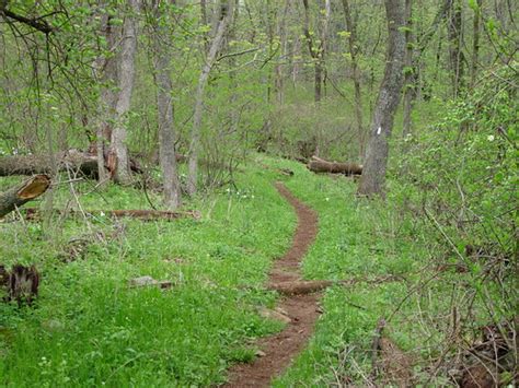 Appalachian Trail | Trillium hike along the Appalachian Trai… | Jeremy ...