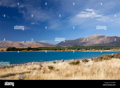 Lake Tekapo, South Island, New Zealand Stock Photo - Alamy