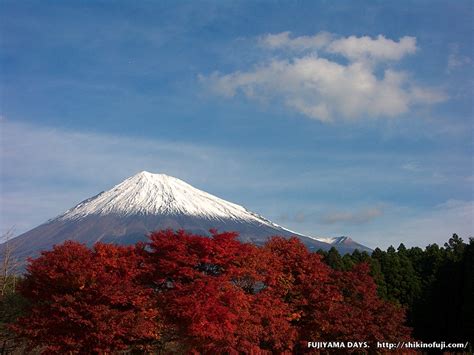 Tempat Wisata Jepang: Gunung Fuji - Keindahan gunung tertinggi Jepang yang Terdaftar di UNESCO