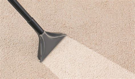 A Definitive List of Carpet Stains and Solutions - Xivents