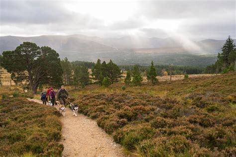 Walking - Cairngorms National Park Authority