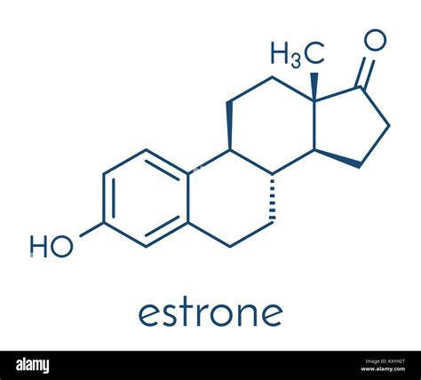 Estrone (oestrone) human estrogen hormone molecule. Skeletal formula Stock Vector Image & Art ...