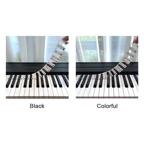 For Beginner Removable With Box Musical Accessories Learning Full Size ...