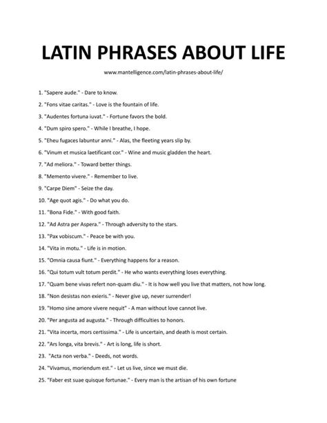 latin phrases about life in english and spanish