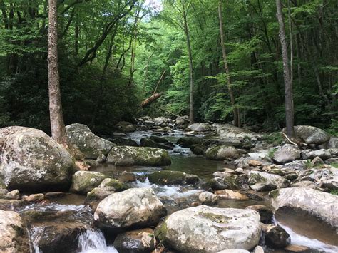 Lake James | Pisgah Preserve at Lake James