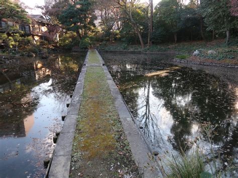 Winter scene of Koishikawa Korakuen Garden