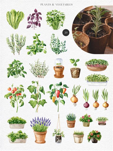 Home Garden watercolor collection By Natalia Fedorova | TheHungryJPEG