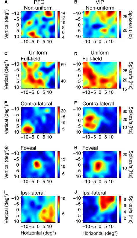 Characterisation of RF types. Examples of receptive field types from ...