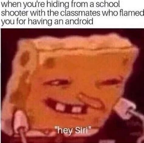 Hey siri : r/memes