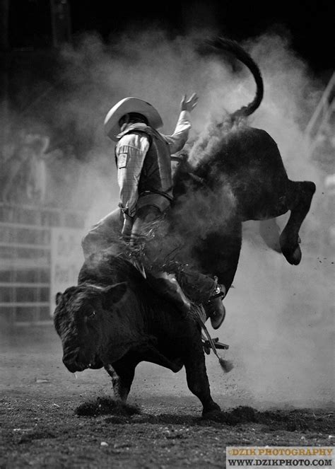 28 best Jaripeo images on Pinterest | Caballos, 8 segundos y Dibujar