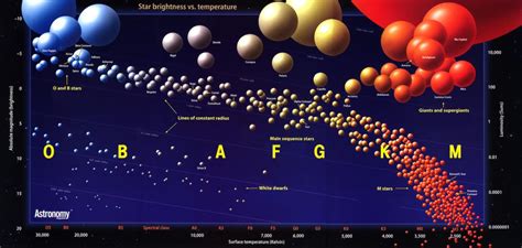 New Insights into Magnetic Fields of Red Dwarfs