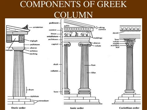 Ppt Greek Architecture Orders And Columns Powerpoint Presentation Free | Free Hot Nude Porn Pic ...