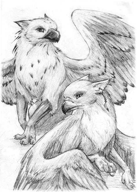 Grifos | Mythical creatures drawings, Creature drawings, Animal drawings