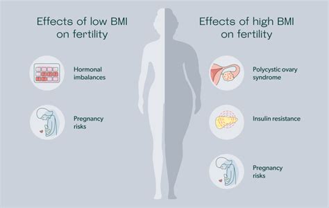 BMI and Fertility: What You Need to Know While TTC