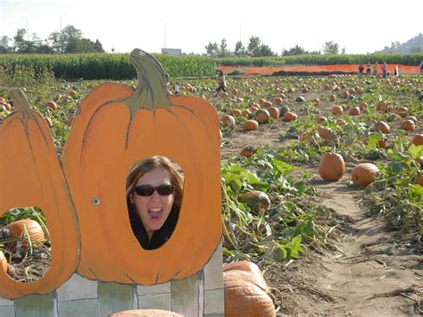 Corn Maze and Pumpkin Patch A Pumpkin, Pumpkin Patch, Corn Maze, Happy ...