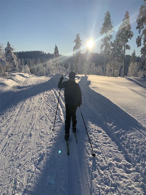 Beautiful Day Cross Country Skiing - Free photo on Pixabay - Pixabay