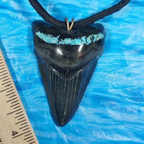 Top Quality Jet-Black Extra Large Megalodon Shark Tooth Necklace With ...