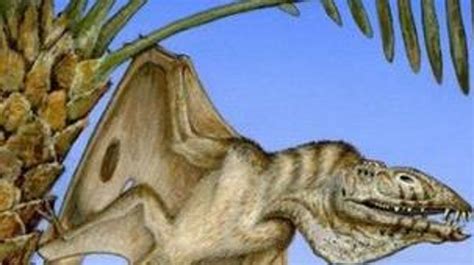 Fossil of oldest pterodactyl discovered in Utah desert