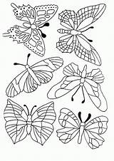 Schmetterling Malvorlagen  Butterfly coloring Page Coloring Pages sketch template