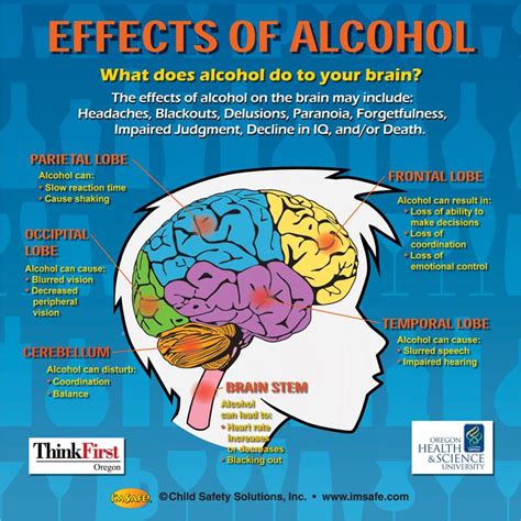 10-4892 The Effects of Alcohol on the Brain Tabletop Display | I'm Safe