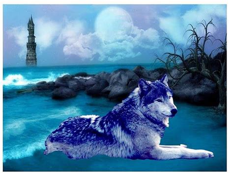 1920x1080px, 1080P free download | Blue Wolf, moon, nature, Wolf, Blue, sky, animals, HD ...