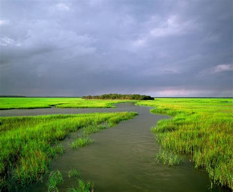 17 Best images about Southern landscapes on Pinterest | Savannah, Charleston SC and Islands