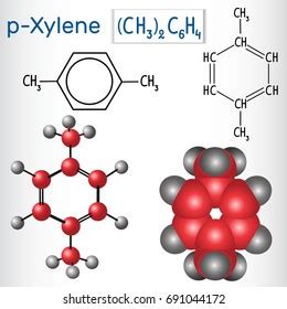 Paraxylene Pxylene Molecule Structural Chemical Formula Stock Vector ...