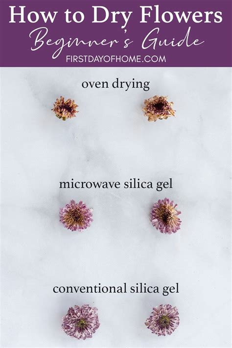 How to Dry Flowers and Get the Best Results Possible