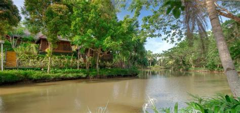 Sepilok Nature Resort, Borneo (Sandakan), Malaysia. Expert reviews and highlights | The Hotel Guru