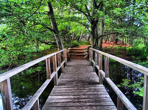 Wooden Bridge Over Small Creek Photograph by Lilia D