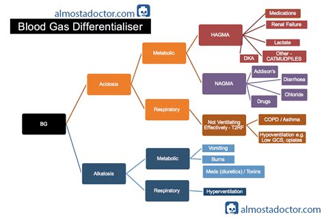 The Anion Gap - almostadoctor