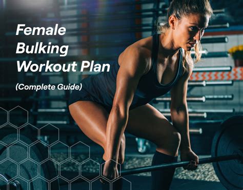 Female Bulking Workout Plan (Complete Guide) – Fitbod (2023)