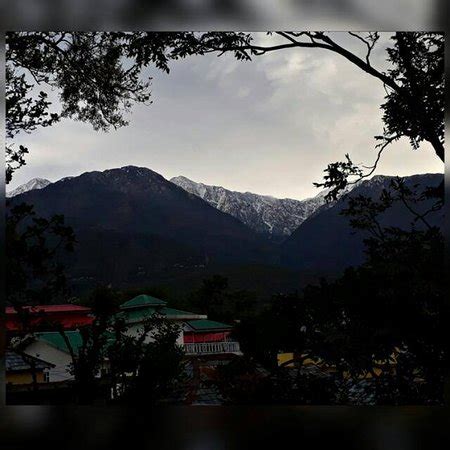 Palampur 2017: Best of Palampur, India Tourism - TripAdvisor