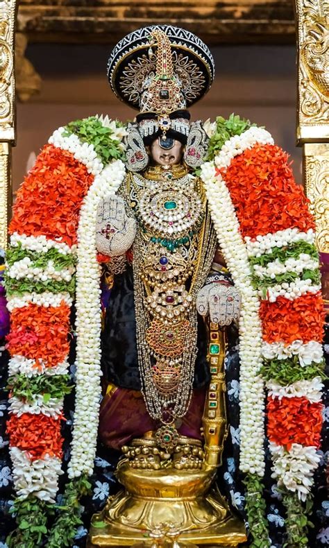 Celebration of Srirangam Sri Alagiya Manavala Perumal becomes everyone's "Sri Namperumal"