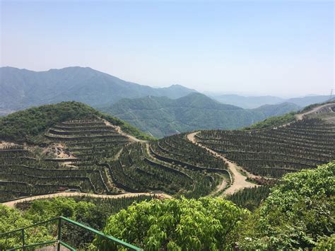 MOUNTAINS AND PARKS IN NINGBO | PHOTO BLOG - inlovewithmyplanet