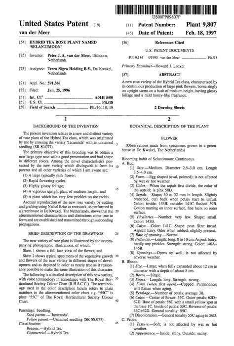 How Long Does a Plant Patent Last? (ANSWERED) | Patent Rebel