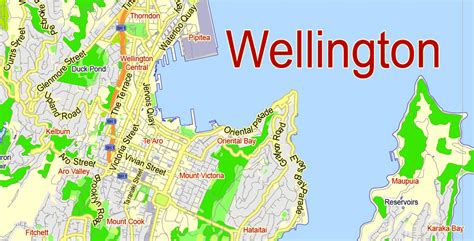 Wellington PDF Map New Zealand exact vector street map fully editable ...