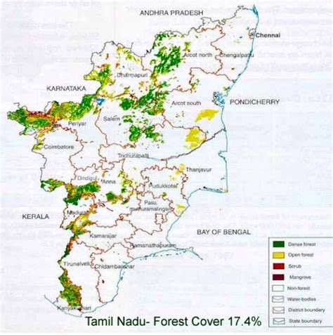 India's Forest Cover Is Reducing, Does The Indian Government Really Give A Damn About Its ...