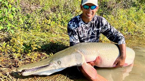 Idaho angler catches personal best alligator gar in Texas | Idaho Statesman