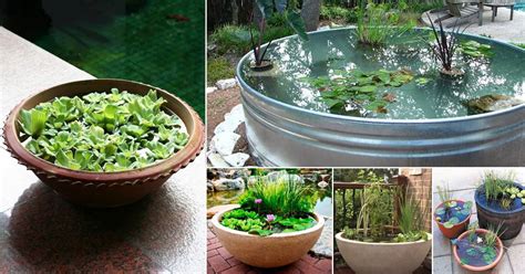 24 Peaceful DIY Container Water Garden Ideas For Container Gardeners ...