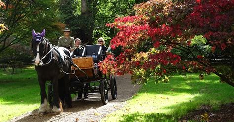 Ascot Carriages - Visit Windsor