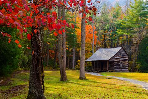 Download Fall Man Made Cabin 4k Ultra HD Wallpaper